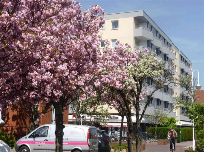 Haus Ankerlicht Wohnung 66 - Bild 13